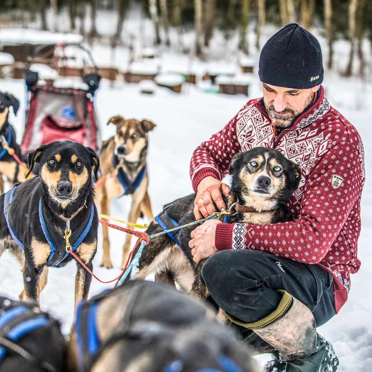 Kama Norweger Skipullover Damen Norweger Pullover Merino Wolle